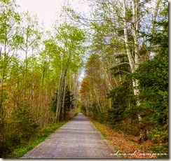 May29 Canada Trail-